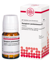 SYZYGIUM JAMBOLANUM D 6 Tabletten