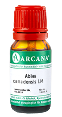 ABIES CANADENSIS LM 7 Dilution