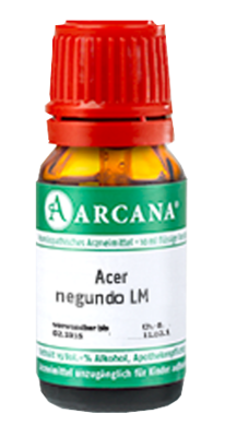 ACER negundo LM 4 Dilution