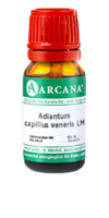 ADIANTUM CAPILLUS veneris LM 20 Dilution