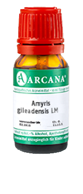 AMYRIS gileadensis LM 4 Dilution